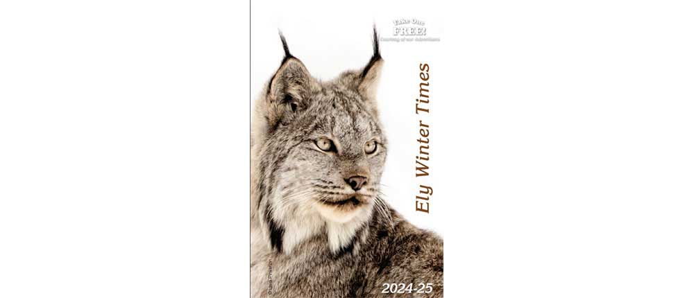 Winter Times Supplement 2024-2025